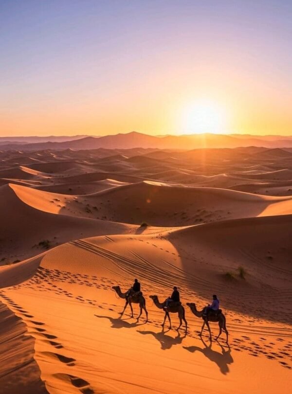 Camel trek at sunrise during a Morocco desert tour departing from Errachidia